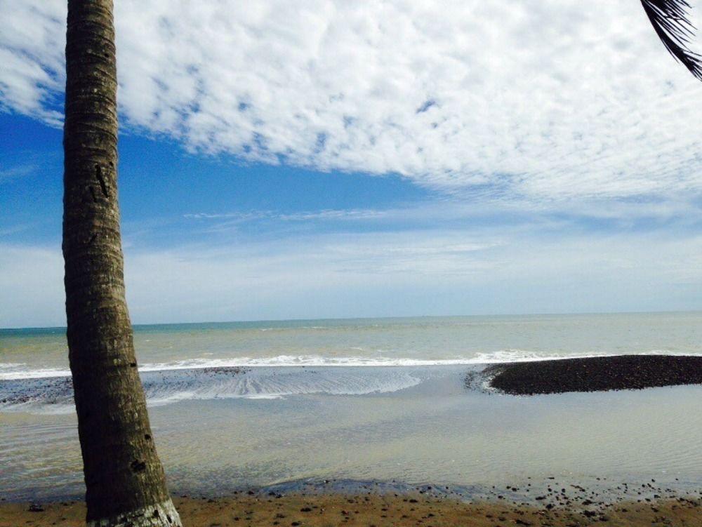 Hotel Mango Mar Jaco Luaran gambar