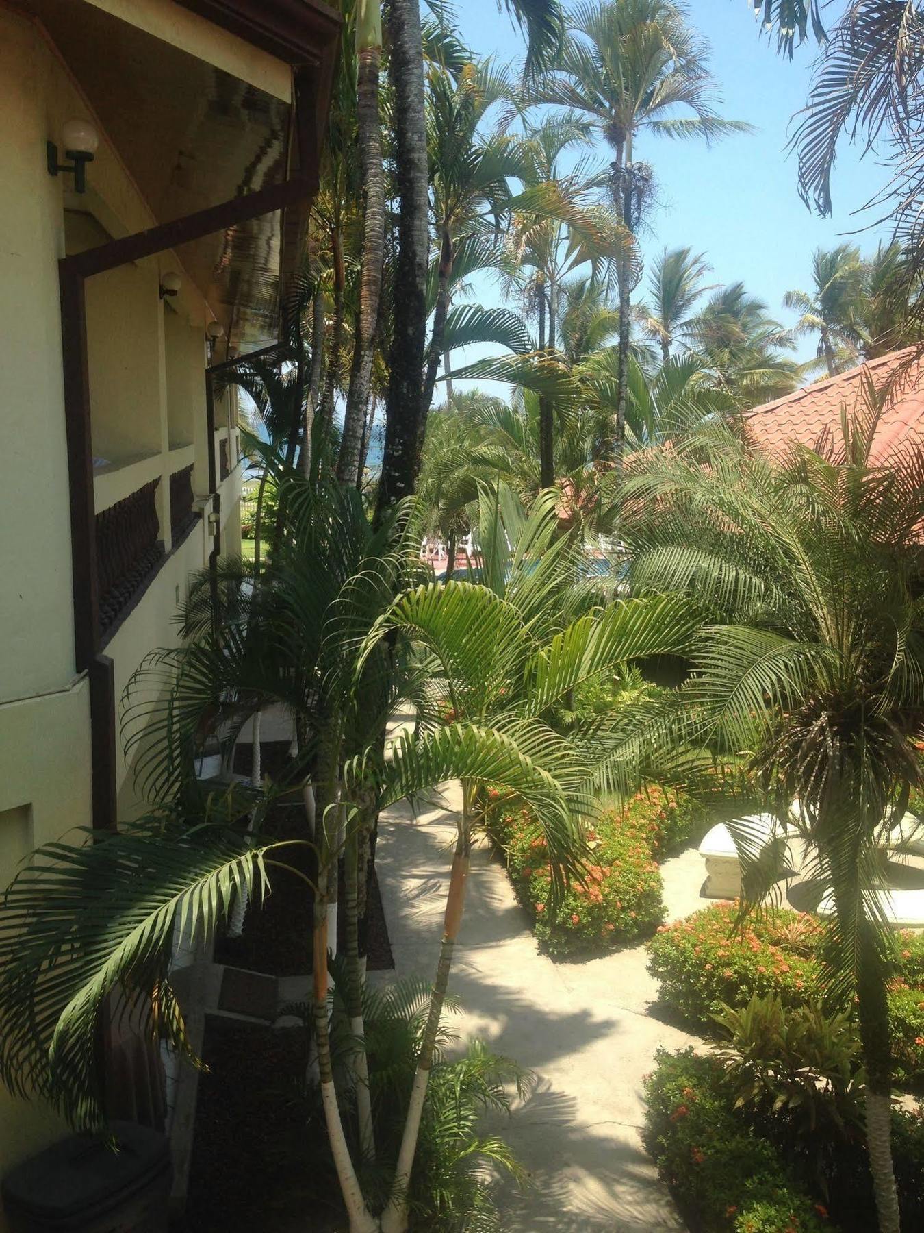 Hotel Mango Mar Jaco Luaran gambar