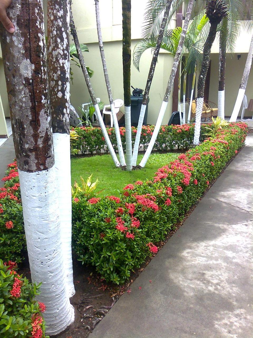 Hotel Mango Mar Jaco Luaran gambar